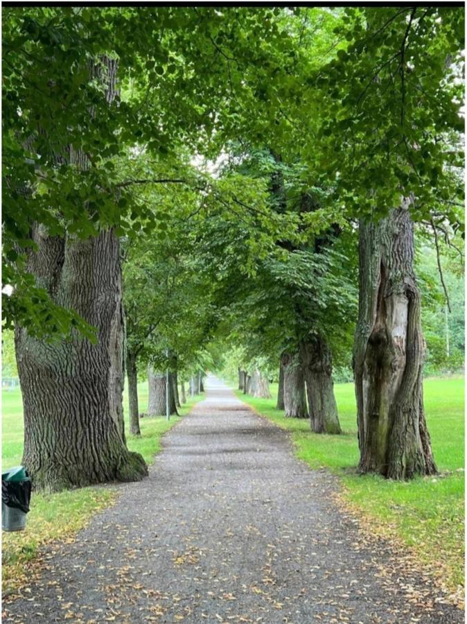 Close To The Metro And The Beach!!! With A View Of The Scandinavian Forest ストックホルム エクステリア 写真